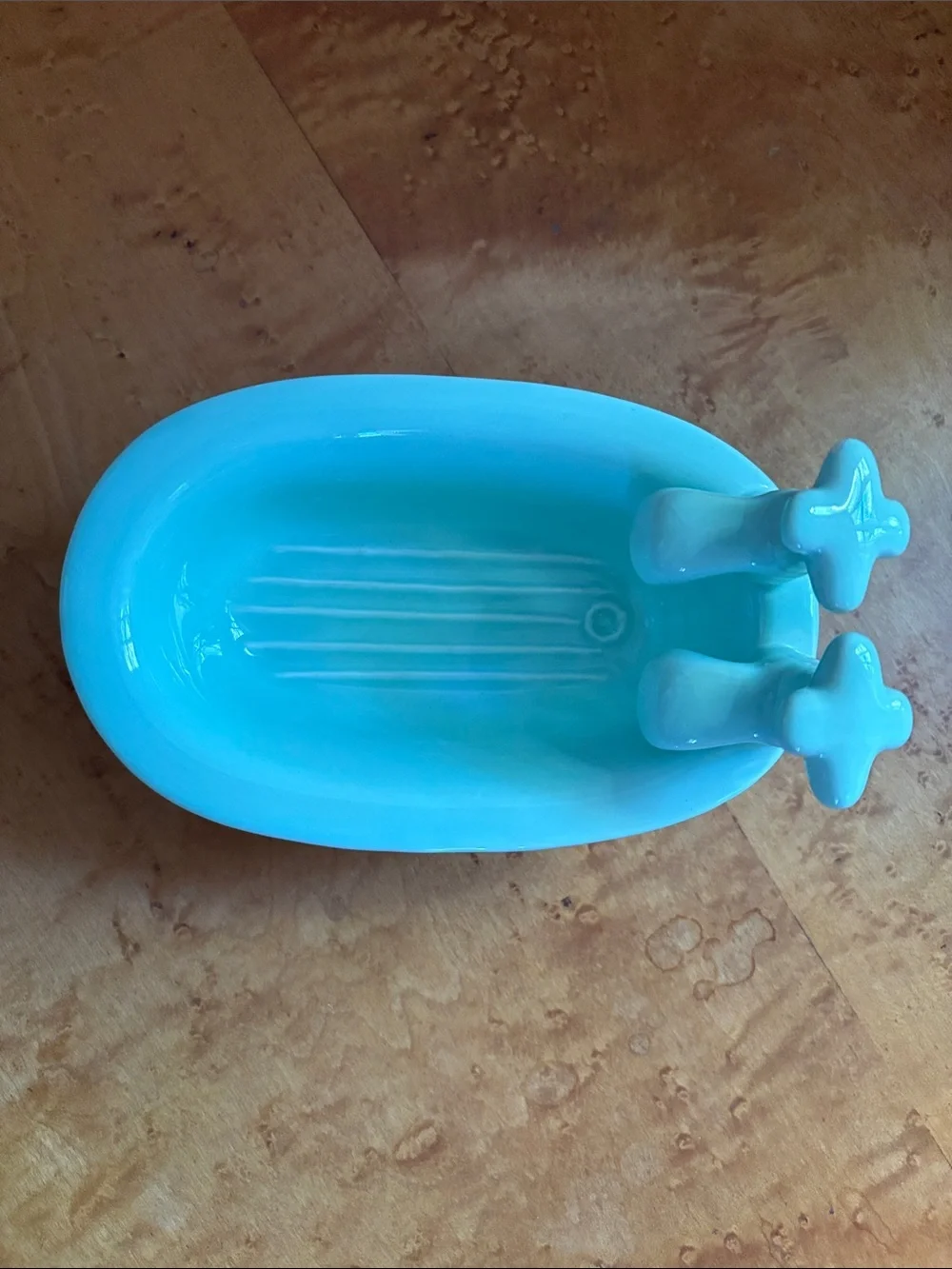Bathtub soap holder or catch all